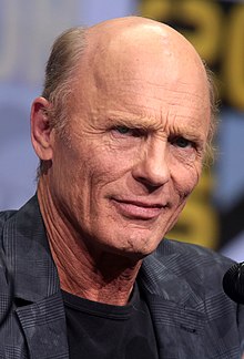 person image